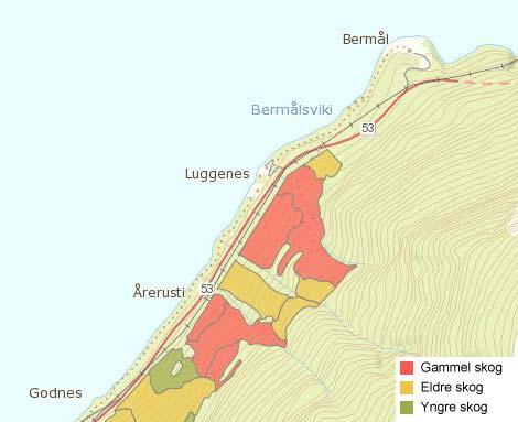 Skog/hogst: Planområdet ligg i ei bratt liside dominert av furuskog. Dominerande vegetasjonstype er bærlyngskog med furu, vegetasjonstype A2 i Fremstad (1997).