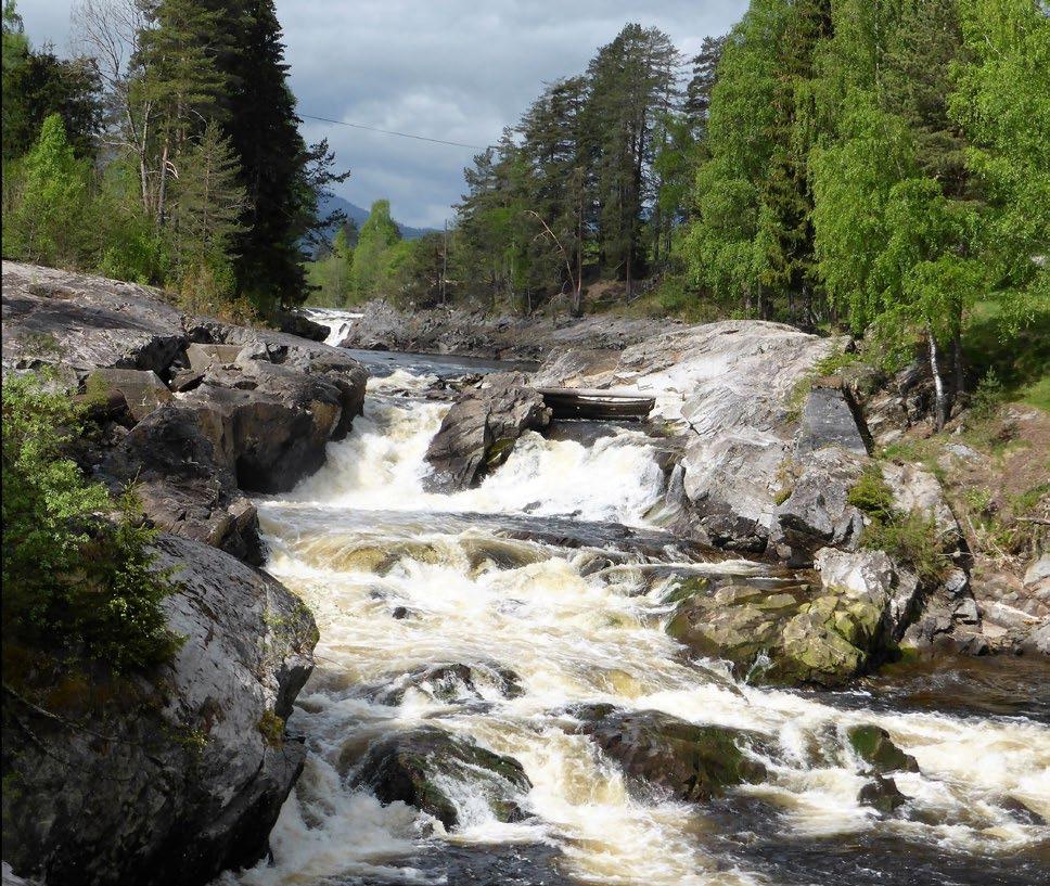 Omnesfossen i Sauland i Mai 2016. Foto: Ånund Killingtveit Sauland kraftverk AS har ved kongelig resolusjon av 12.02.2016 fått tillatelse til å bygge Sauland kraftverk i Hjartdal kommune i Telemark.