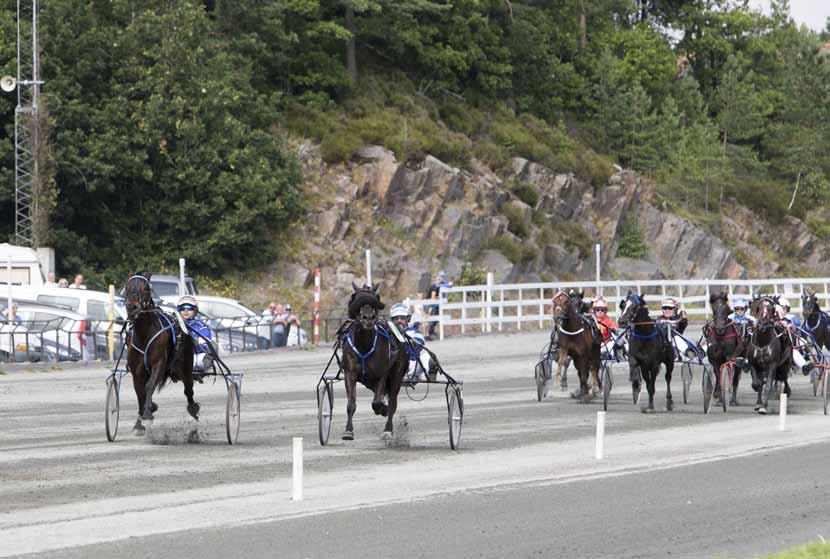 TRAVPROGRAM LØRDAG Sørlandets 22. juli TRAVPARK NM for kaldblodshingster og -vallaker NM for kaldblodshopper Sølvhesten Sørlandets 3-års Cup (kbl) Glad Suits hoppeløp Nr. 16/2017 Start 1.