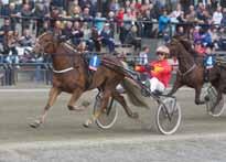 Lykkje Borka - Bjørn Steinseth (kusk og trener) Seiersvant hoppe med 15 triumfer på bare 30 starter, og hun har allerede vunnet fem ganger i V75, i tillegg til