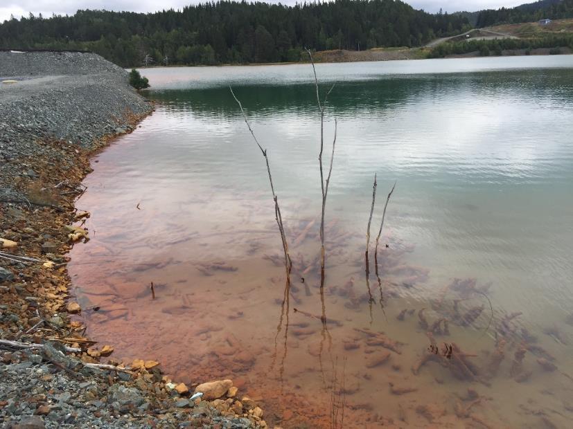 DIREKTORATET FOR MINERALFOR VALTNING MED BERGMESTEREN FOR SVALBARD ADRESSE COWI AS Kobberslagerstredet 2 1601 Fredrikstad TLF +47 02694 WWW cowi.