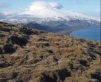 Verneplan for Jan Mayen (DN notat 2007 4) Innhold: Forord Sammendrag Innledning Jan Mayens historie Naturforholdene Kulturminner på Jan Mayen Arealbruk og naturinngrep Aktivitet og infrastruktur