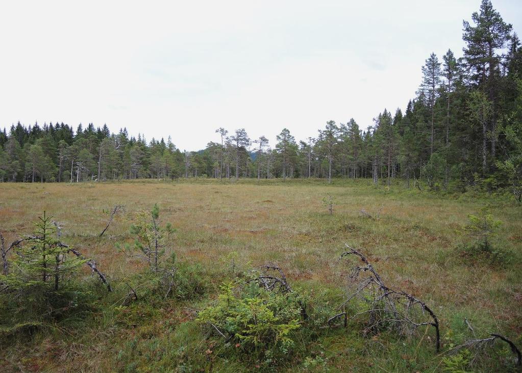 Det nordligste massivet ligger lågest av de to.