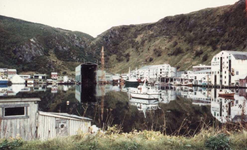 Litt om min erfaring fra jeg kom til Fosnavåg 1982 Fosnavåg havn kring 1980.