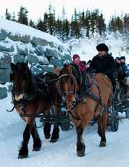 JAKTEN PÅ PÅSKEEGGET 14. april kl. 12 14. Finn påskeegget. Oppmøte ved skiutleien på hotellet eller i skiutleien i kjelleren på Skistua. Gratis. PÅSKEHOPPRENN 15. april kl. 11 15.