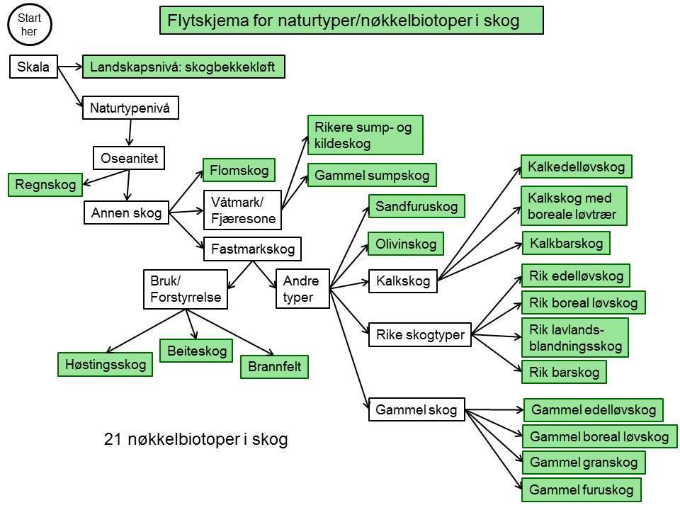 Resultater Forslag til inndeling Med grunnlag i et flytskjema (fig 1) får vi en naturtype/nøkkelbiotop-liste med 21 typer, sortert etter hvor tidlig i flytskjemaet de skilles ut: 1) Skogbekkekløft 2)