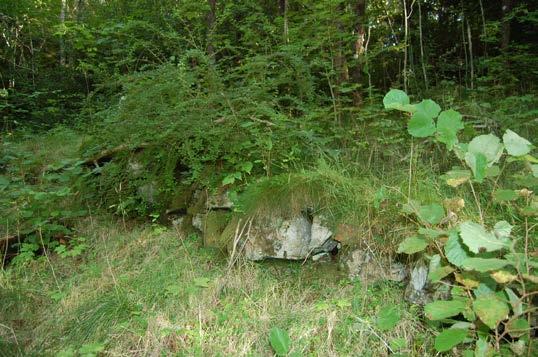 teke ut ein C-14 prøve frå eit 7-10 cm tjukt, mørk brunt lag under eit 35 cm tjukt,