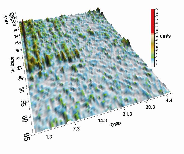 Figur 14. Strømhastighet observert på ulike dyp med strømmåler nr. 3 (ADP-Nortek) 24.2-6.4.2005. Dato er langs x-aksen, Dyp langs y-aksen og strømhastigheten langs z-aksen.