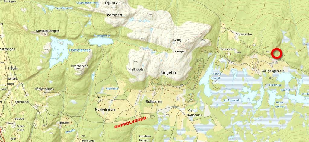 2 Topografi og landskapstrekk Fåvangfjellet har et hellende, delvis kupert terreng der Svangkampen er høyeste topp med 1149 m.o.h. Nedenfor Goppolvegen flater terrenget ut og preges av myr og flere vann.