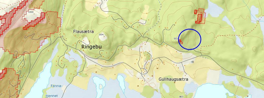 3.5 Skredfare Vest i planområdet er et mindre parti i nedkant av Gullhaugknappen markert til å være utsatt for snøskred i aktsomhetskart fra Ngu.