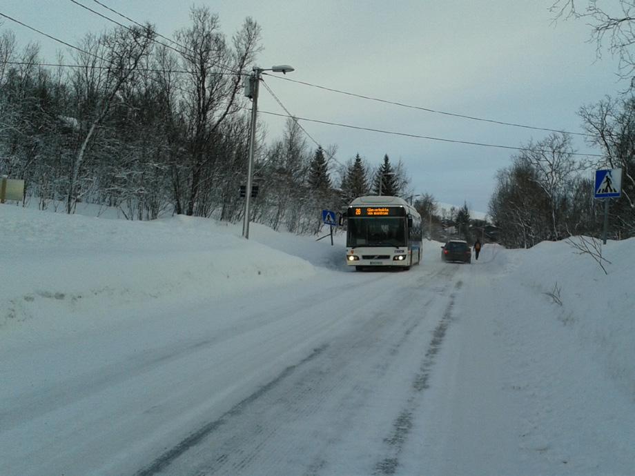 Lokalnettet er lokale, lite trafikkerte gater, gang- og sykkelveger, turveger, parker og grøntdrag.