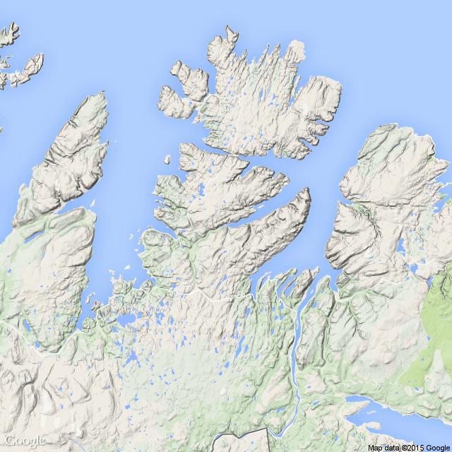 80 Langfjordelva (Gamvik) 233.Z Finnmark Vurdering: Lavt til moderat innslag Datagrunnlag: Begrenset Prosent oppdrettslaks 60 40 20 0 3.8 0.0 1.0 Sport Høst Stamf. Gytet. Annet Årsp.