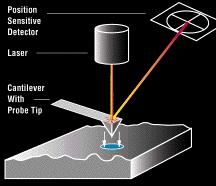 Beam example: Atomic Force Microscope Measures force between tip of cantilever and object E.g.