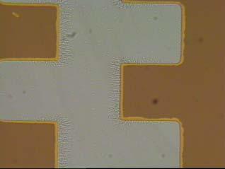 Lab-on-a-chip: NorChip s µ-tas