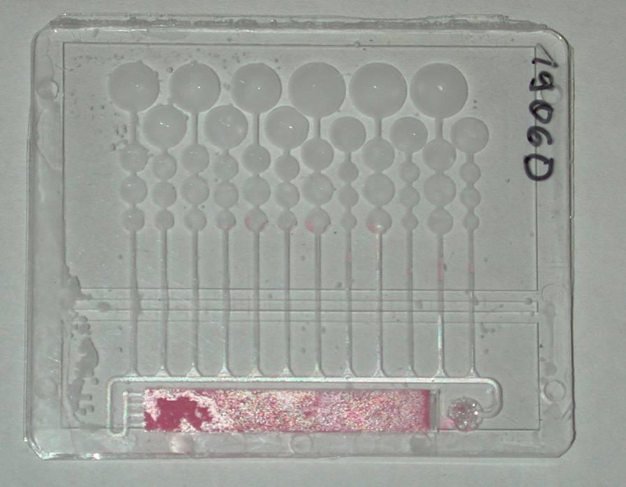 Polymer chip for amplification/optical detection Injection moulding of COC polymer 75 µm thick COC membrane chemically bonded with bicyclohexyl Channels coated with PEG to prevent adsorption of