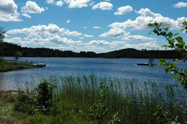 natur Vi tilbyr overnatting i hovedhus, stabbur, lavvo og