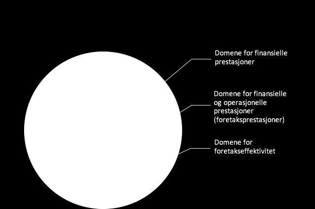 5 2.1.1 Hvordan måle foretaksprestasjoner? For å måle foretaksprestasjoner må en først ta stilling til om man skal benytte finansielle- eller ikke-finansielle prestasjonsmål.