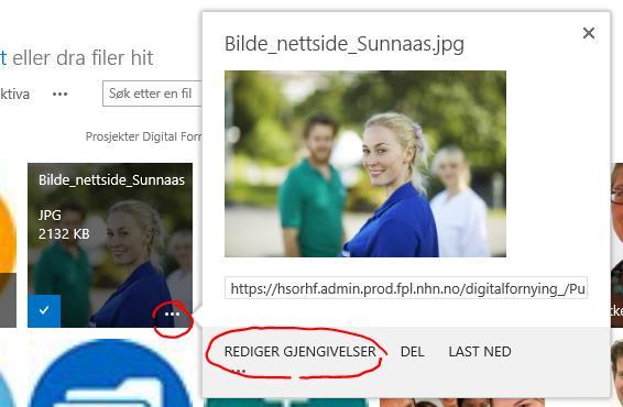 Generelle veiledninger Bruk av bilder For å få standardvisningen som brukes på alle sidene i løsningen brukes bilde med gjengivelsen FPL Forsidebilde bildekarusell (780 x 333) 850 px er største