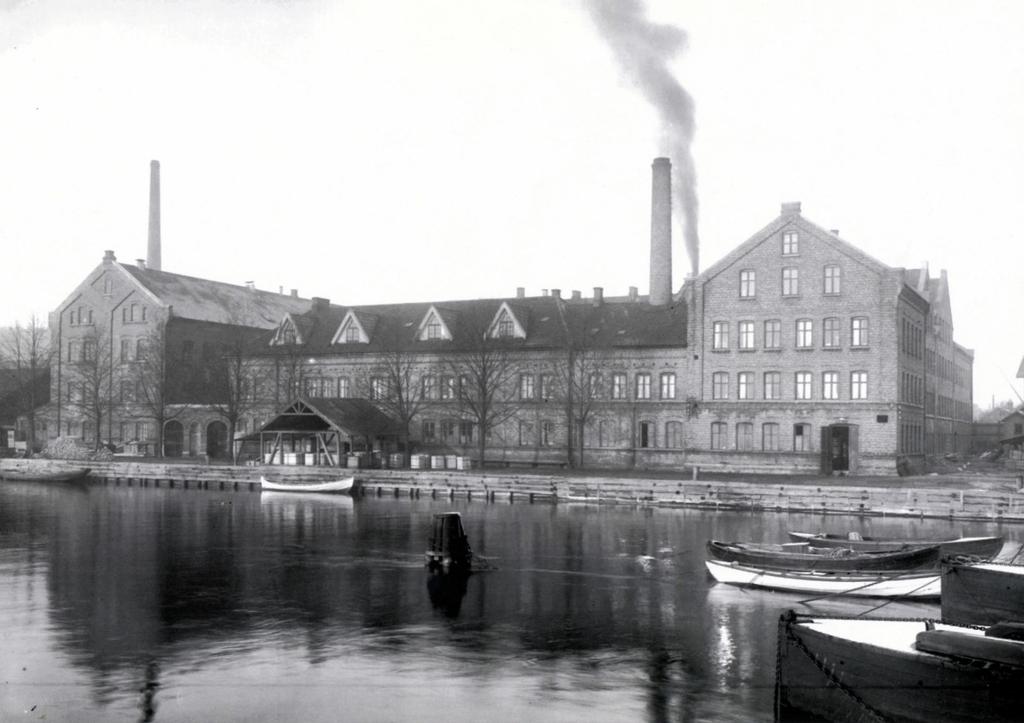 På denne tida var det skogen som dannet naturgrunnlaget for industriutviklingen, og senere ble tømmer og trelast nyttet som råstoff i den moderne treforedlingsindustrien i nedre deler av fylket.