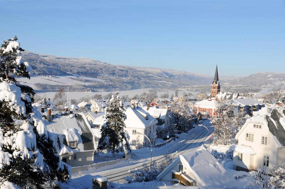 Hjemmetjenesten Tidlig satsing på miljøvennlige biler hos hjemmetjenesten Lillehammer = fjell + snø + vinter Gjennomførte en