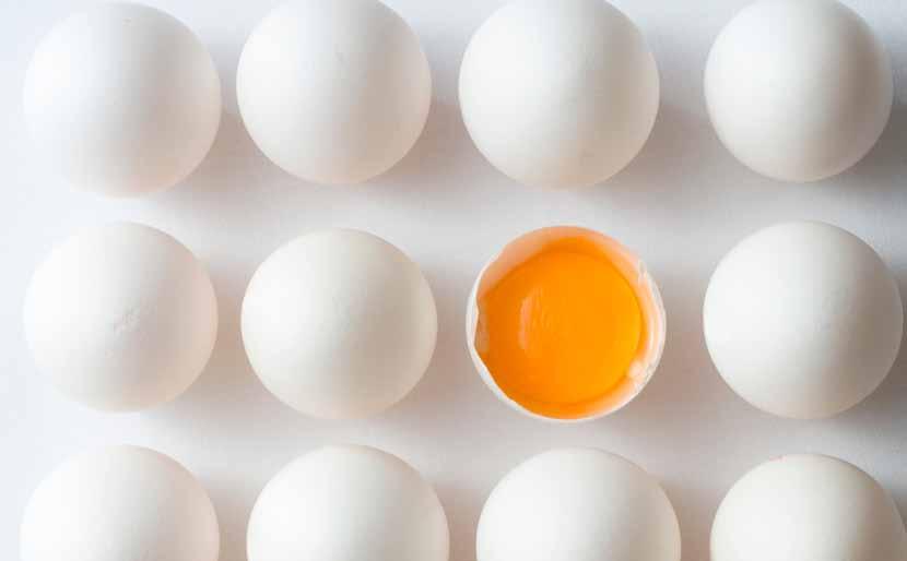 Fjørfe Egg Markedssituasjonen Som året før var også 2010 preget av omstilling til nye driftssystemer og overproduksjon. Fra 2012 blir det forbud mot å holde verpehøns i tradisjonelle bur.