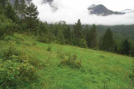 041 Norddal: Valldal: Bøplassen aust, eit mindre