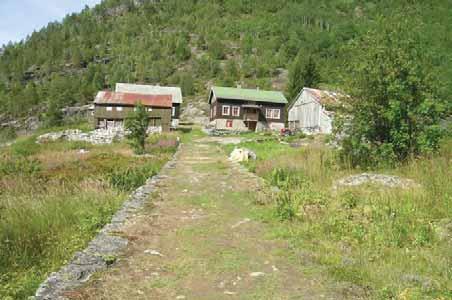 057 Norddal: Tafjord: Muldal, ingen dyr å sjå i 2009, men