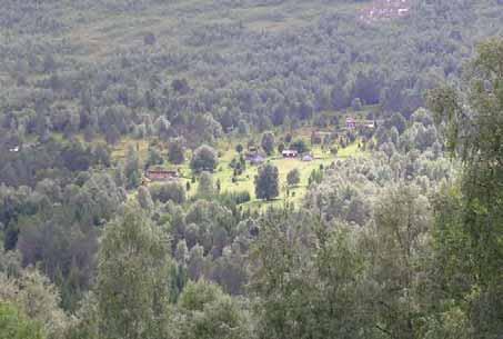 artsfattig seterlandskap. 078 Stranda: Svefonna sett frå Arneberg.