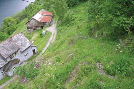 085 Stranda: Nedre Ljøen ved gammelhusa, ei gammal slåttemark og knausar med den gamle