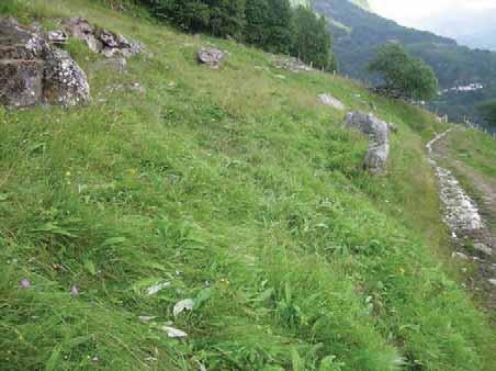 120 Stranda: Geiranger: Vesterås vest, ei mindre naturbeitemark.