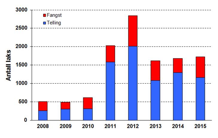 Figur 11: Fangst av laks i Årdalselven, 1993 2015. Gjenutsatt laks er ikke medregnet. Sort, tykkere kurve er den lineære trendlinjen for bestandsutviklingen, basert på avlivet fangst i perioden.