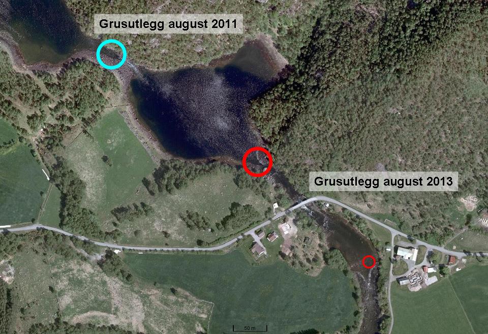 Figur 18: Grusutlegg i Bjørg 2011 og 2013. Utløpet av Øvre Tysdalsvatnet (2011, blå sirkel). Utløpet av Halshølen (stor, rød sirkel). Bergalandskulpen (rød sirkel).