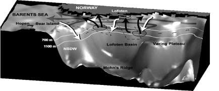 Transport av raudåte til kysten er avgjørende næringsgrunnlag for fiskelarver Habitat selection of Calanus finmarchicus 349 Raudåte overvintrer på 200 m ofdyp Figure00 9.