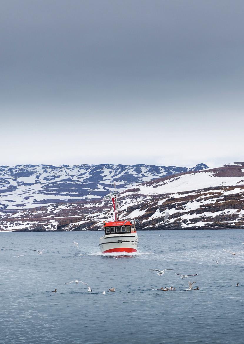 ÅRSBERETNING 2016 FINANSIELLE FORHOLD For året 2016 oppnådde Lerøy Seafood Group-konsernet en omsetning på 17 269 millioner kroner, noe som er en økning fra 13 451 millioner kroner i 2015.