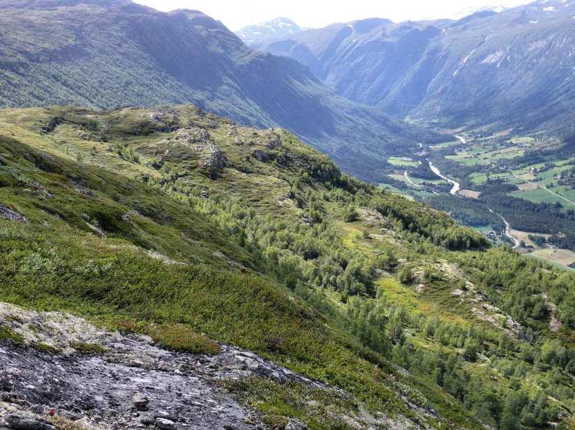 Ca midtveis i fjellsiden er det her en utflating.