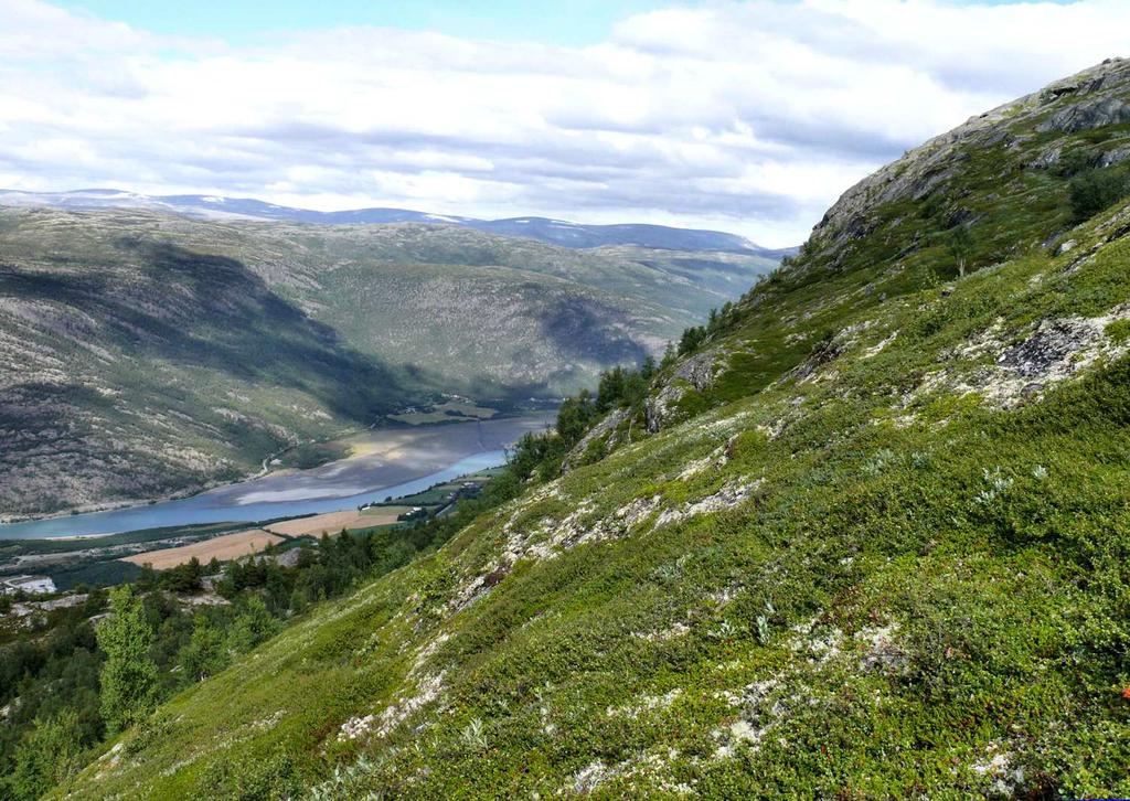 Flere betraktninger ligger til grunn for skredfarevurderingen.