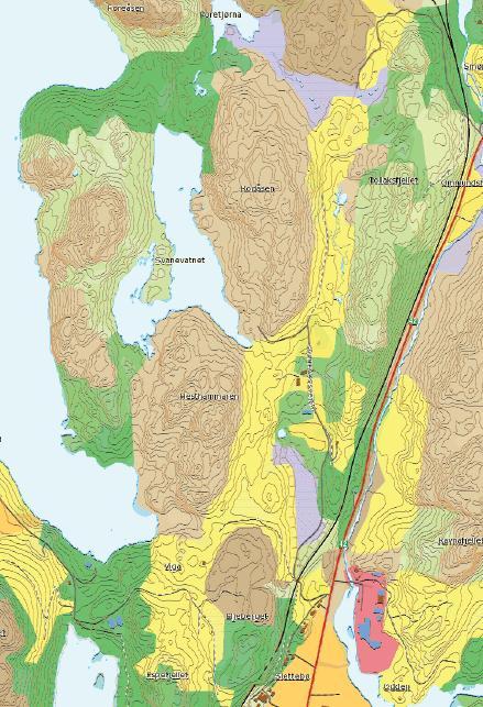 Området har god tilkomst via Krossmoveien. Svært godt egnet. TEMA Landbruk Restriksjonsområder (natur og kultur) KONFLIKTGRAD Dalsøkket mellom Rodåsen og Tollaksfjellet benyttes som innmarksbeite.