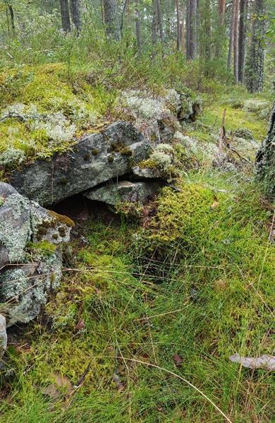 H570_6 Åker 10 En liten åker med tett lyng og skog. Den skiller seg ut fra omkringliggende terreng ved at den er planert med en lav bakkemur i front og er ganske flat.