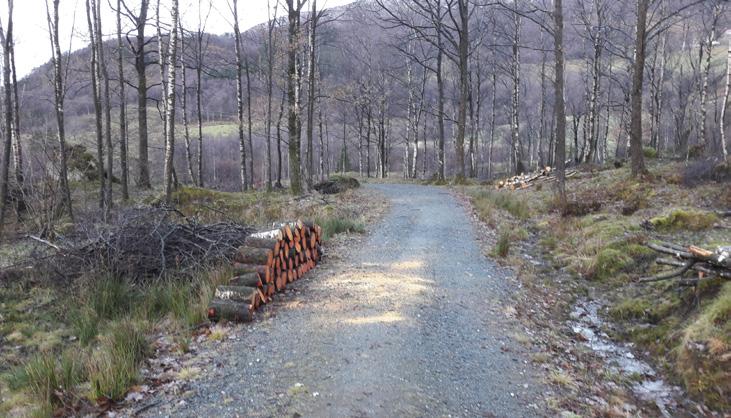 Parker på oppsida av Bjoavegen ved Kråkedalsvegen. Om turen: Frå parkeringa er det merka til godt synleg sti, som etter kvart går inn i skogen. Bra stigning her inne.