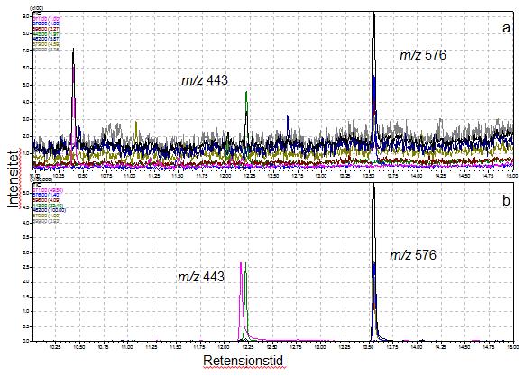 Figur 4.1.6 - Total-ion kromatogrammet av blankprøve (a) og tyrosin og nitro-tyrosin (1 mg/l) løst i vann (b). Begge prøvene er renset på SPE kolonnen Strata X og derivatisert med samme metode.