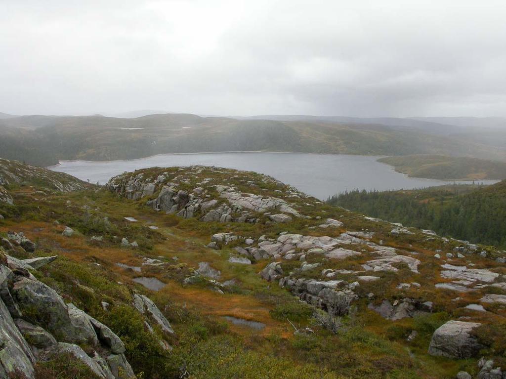 Storheia vindpark Det går en sti fra Mørriseteren til toppen av Storheia, der det også finnes en kjentmannspost. Stien går videre forbi Skjærlona og til Svanalona.