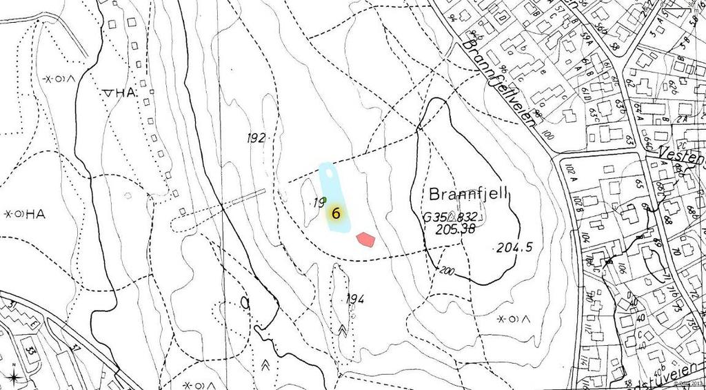 6) Svarta på Brannfjell Figur 14. Kart over lokaliteten. Grønt felt (viser litt dårlig på karter men er rett til høyre for 19-tallet) viser potensielt område for uttak av vegetasjon.