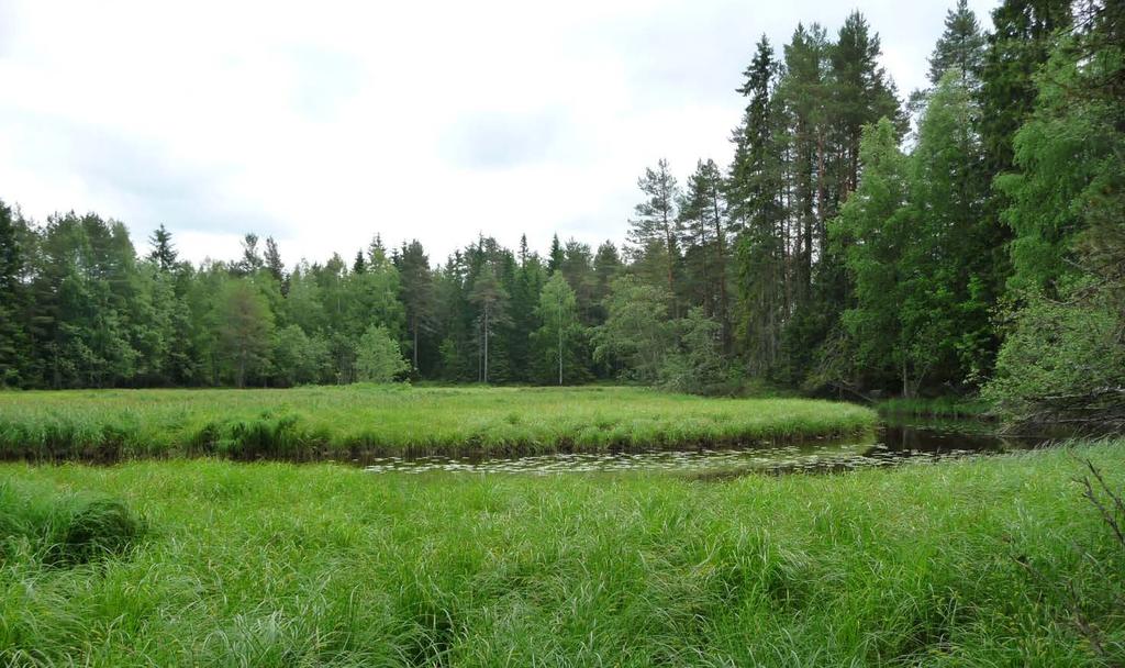 Figur 6 Landskapet ved Dyståa Ved elva Dyståa er det et flatt og åpent jordbrukslandskap som fortsetter øst og nordover mot Skarnes (Korsmo).