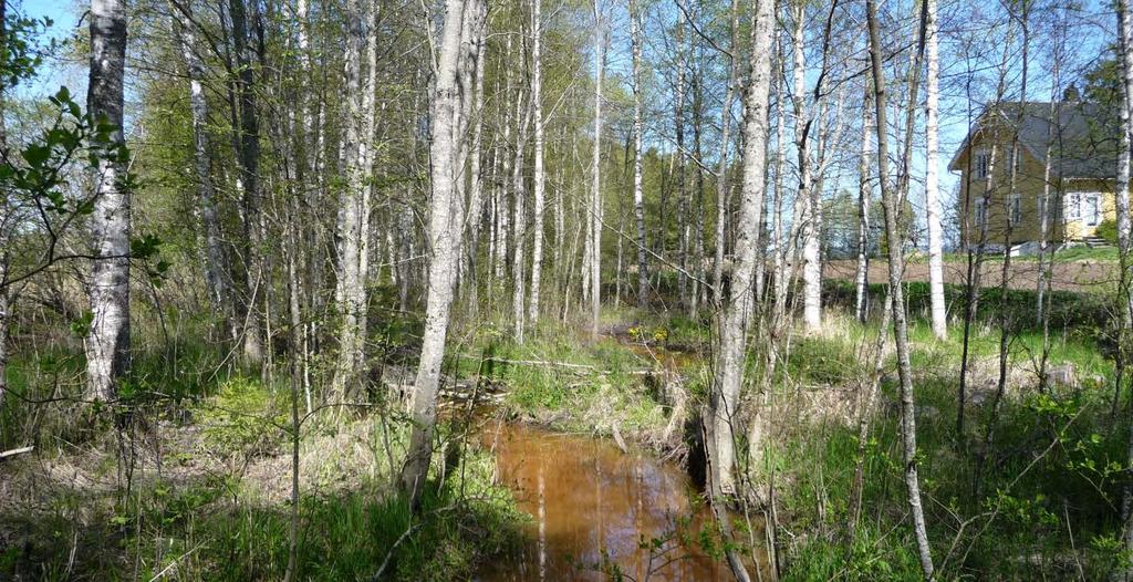 for bever og har elementer av verdifull natur der sideområdene ikke er for sterkt påvirket av landbruket. Figur 9 Lite bekkedrag ved Holen gård, langs fv. 287