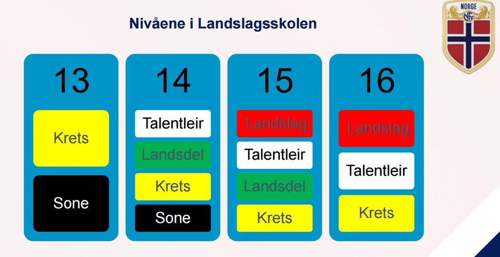 de mest lovende 13-16 åringene i lokal klubb, krets og nasjonalt. Landslagskolen skal være en arena for påvirkning og referanser til spillerne.