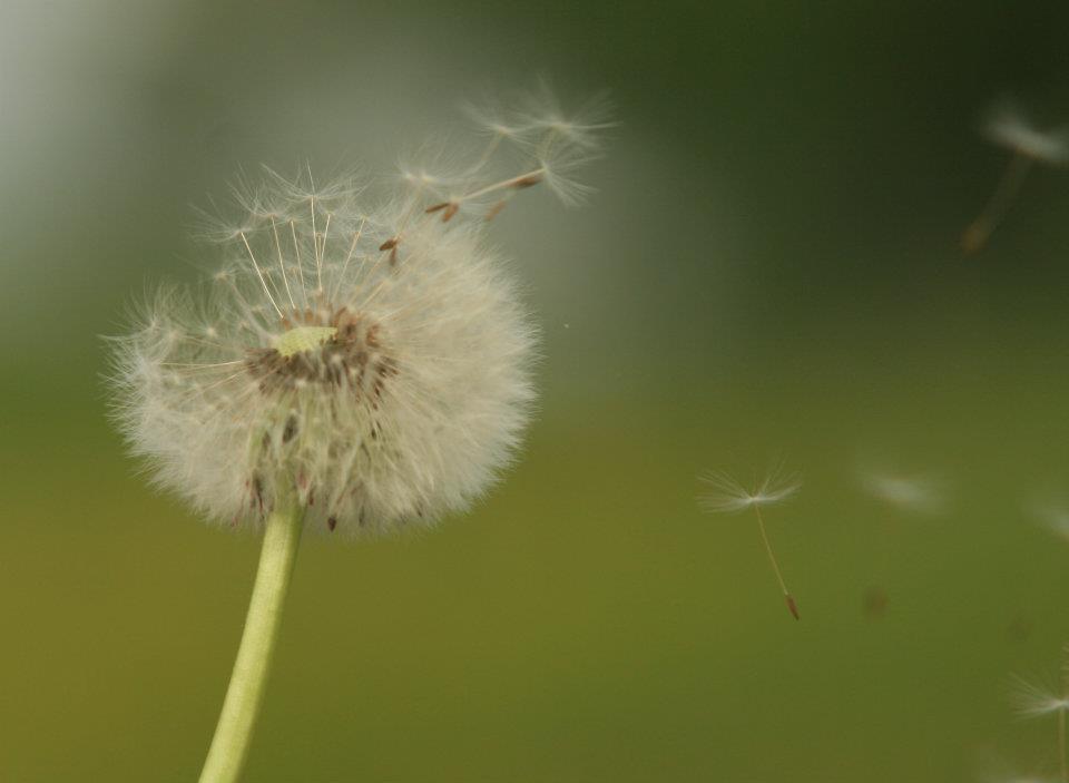 NATUR- HENDELSER Naturhendelser utløses av naturkrefter eller naturlige fenomener og ikke av menneskelig aktivitet.