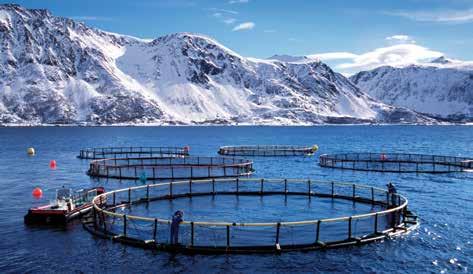 Krav til flytende produksjonsanlegg (NS 9415) Rømming av oppdrettsfisk er svært negativt for næringen, både på grunn av økonomiske tap og fordi rømt fisk er et miljøproblem.