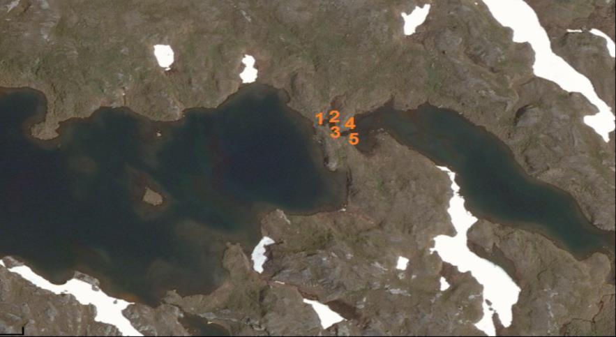 Registrering tiltak Lokalitet: Stangfjelltjönna 5 (utløp) Dato: 20130926 GPS-kord : 33 W 471886 7347861 Beskrivning av problem:lite gytegrus få områder.