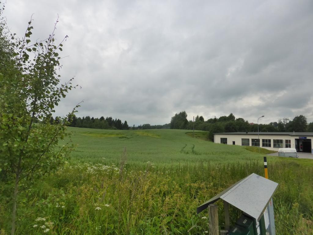 dag av intern atkomst / parkeringsareal for eiendommer i østre del og landbruksareal i sør og vest, vist på