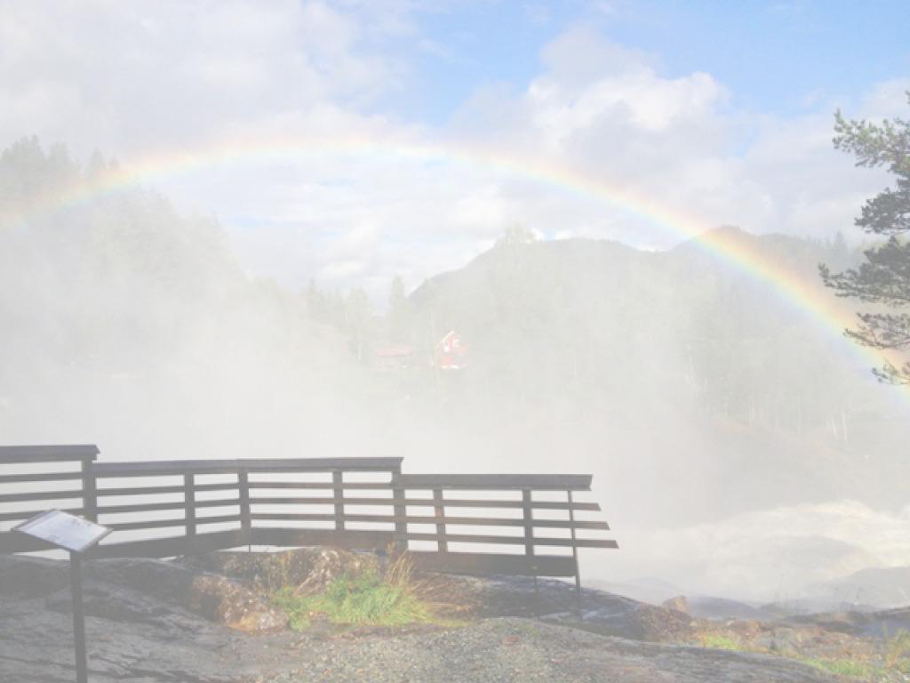 Oppsummering Naturmangfoldloven er et godt